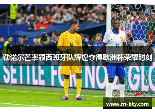 勒诺尔芒率领西班牙队辉煌夺得欧洲杯荣耀时刻